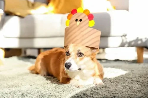 Stress-Free Thanksgiving
